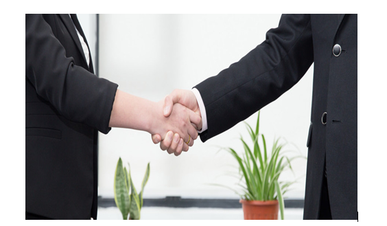 有限責(zé)任公司與其他公司合并程序有哪些